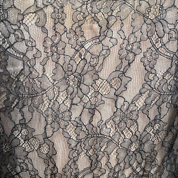 NWOT BCBG Maxazria Lace Dress - Picture 11 of 15